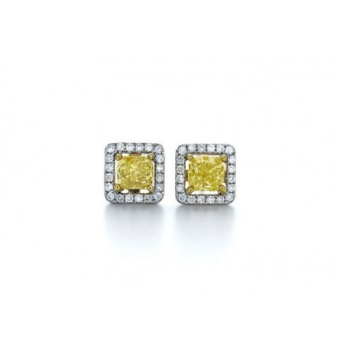 Fancy Yellow Halo Studs